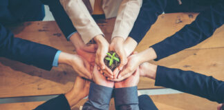 pessoas com mãos unidas segurando uma planta pequena