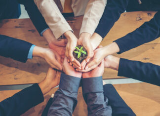 pessoas com mãos unidas segurando uma planta pequena