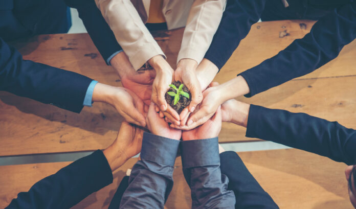 pessoas com mãos unidas segurando uma planta pequena